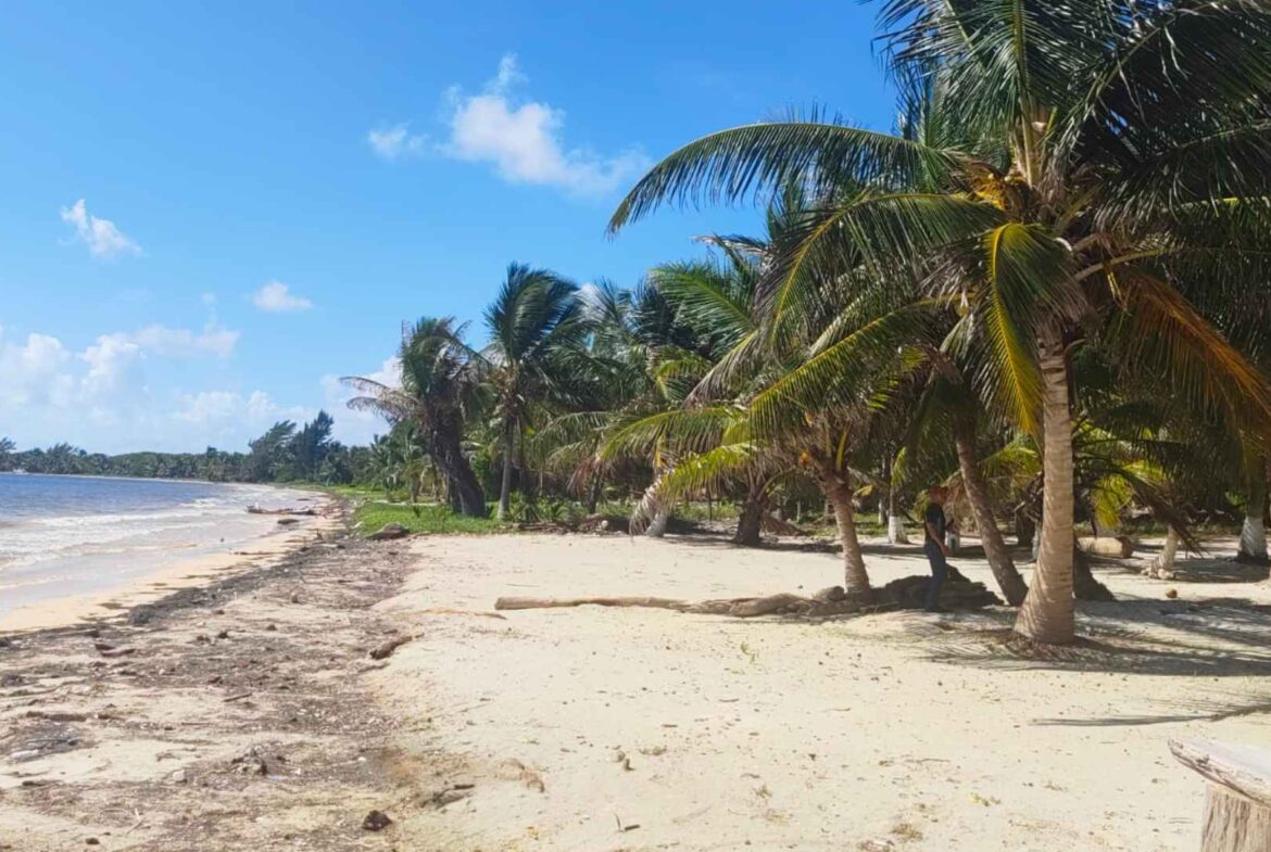 Terreno frente a la playa