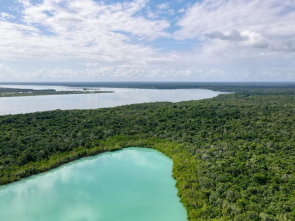 terrenos en venta en Bacalar Bacalar Jungle