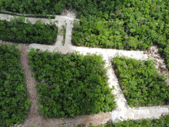 terrenos y lotes en venta en tulum